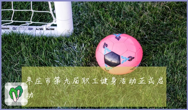枣庄市第九届职工健身活动正式启动