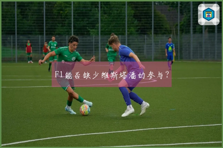 F1能否缺少维斯塔潘的参与？